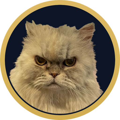 FOMO Stopper: a grumpy grey cat inside a gold ring